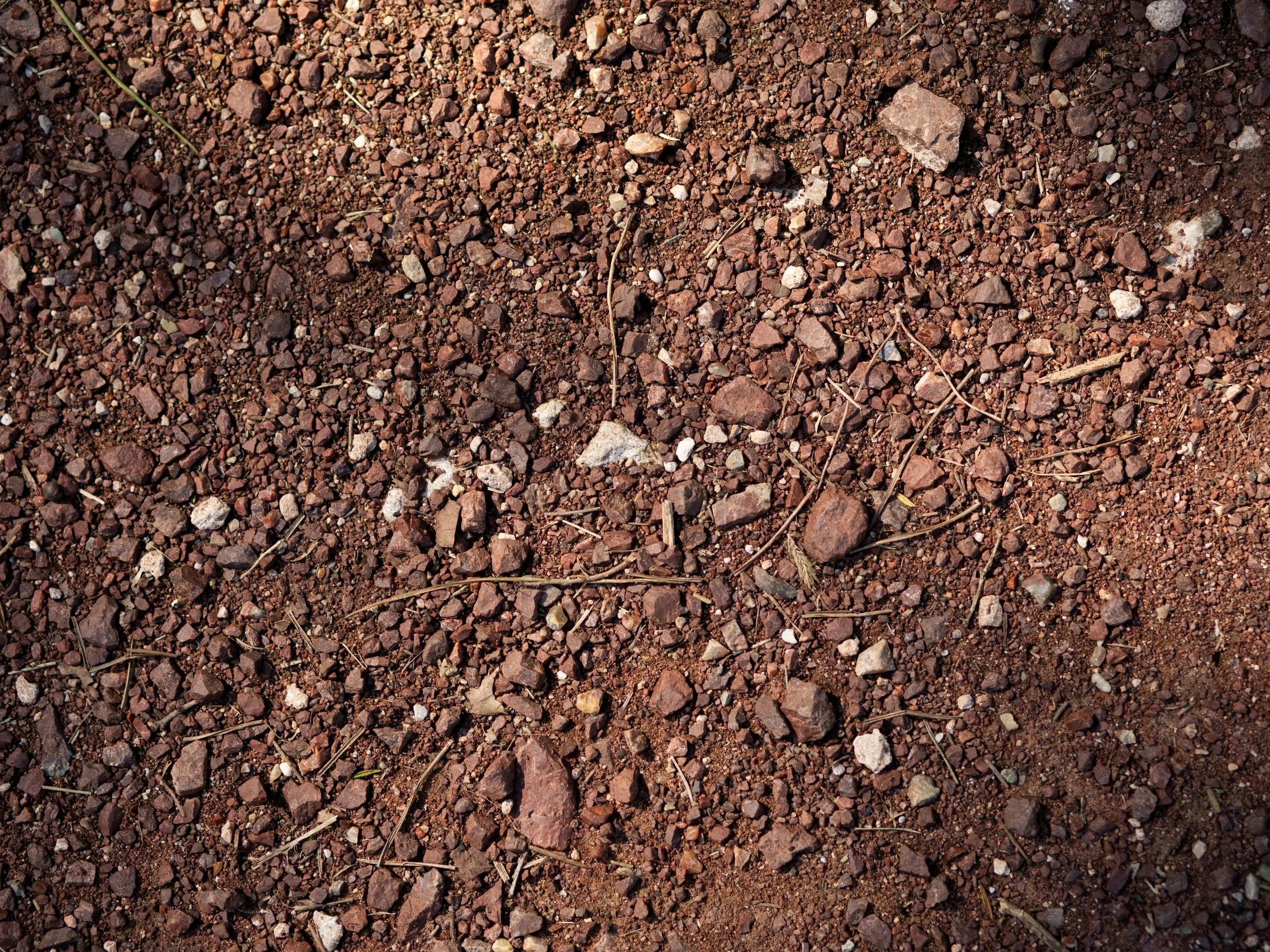 soil